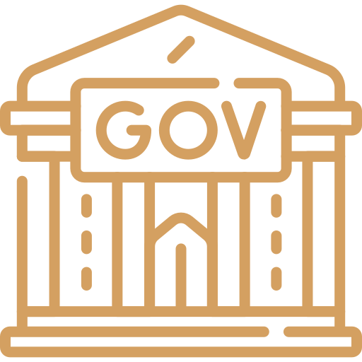 Government & Donor-Funded Projects